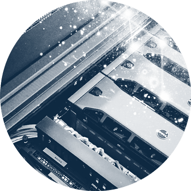 product header image of dmp product header image of dmp